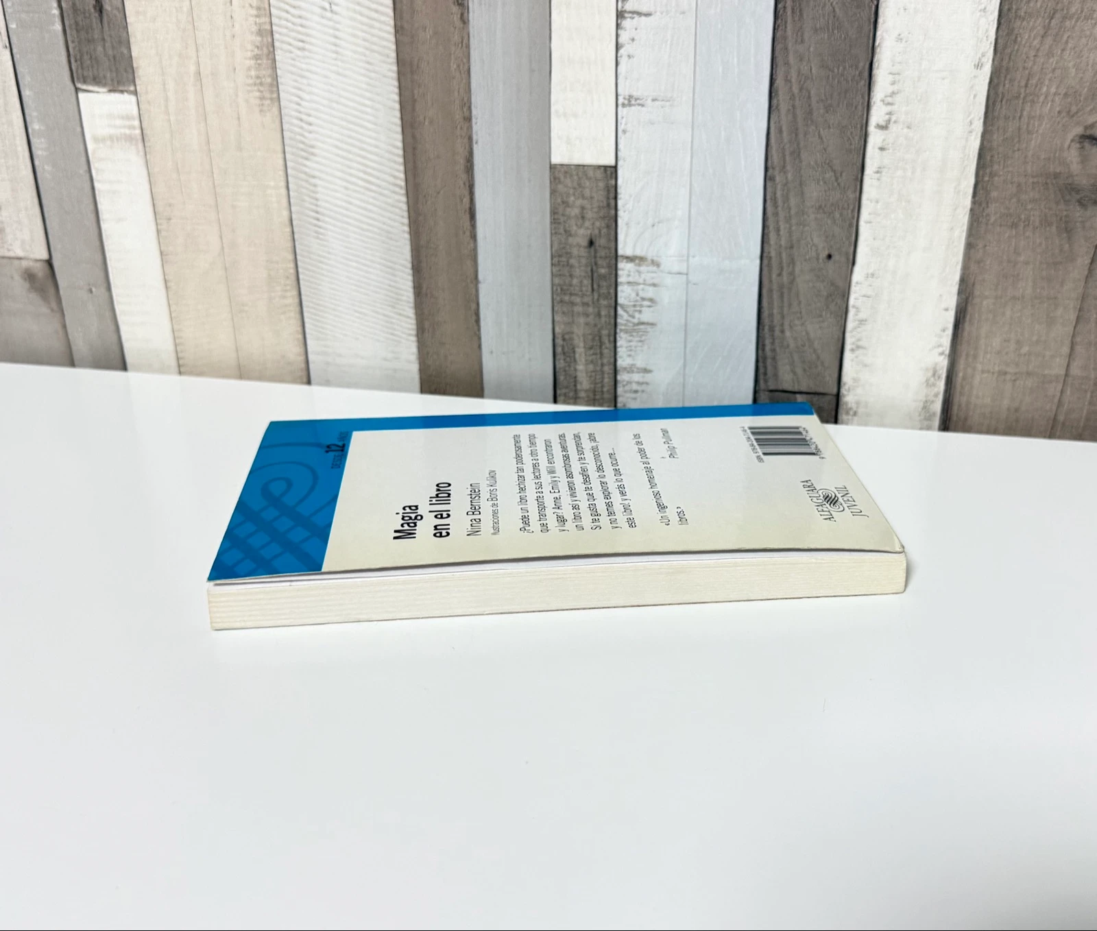 Magic Book in the Book – photo 3